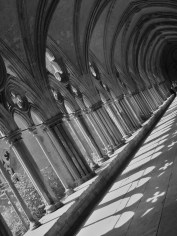 Rays and Rows of Cloisters